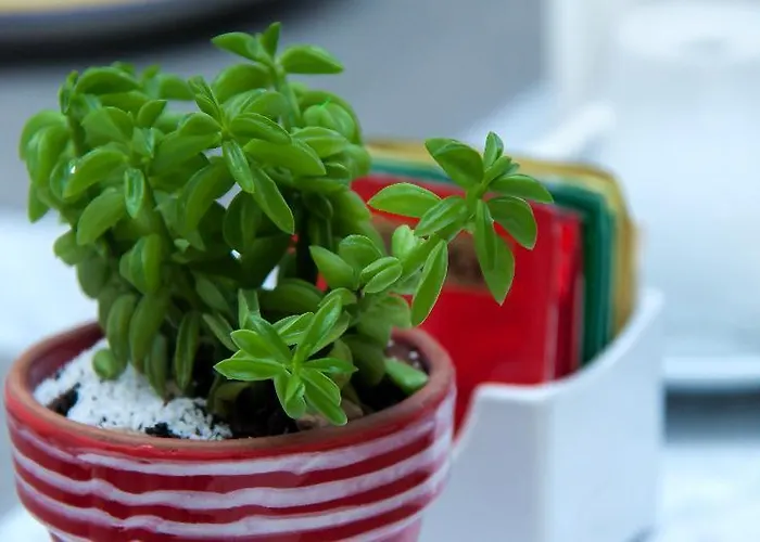 Palazzo Starace Sorrente